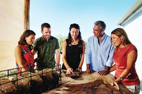 Cygnet Bay Explorer - Yamba Accommodation 4