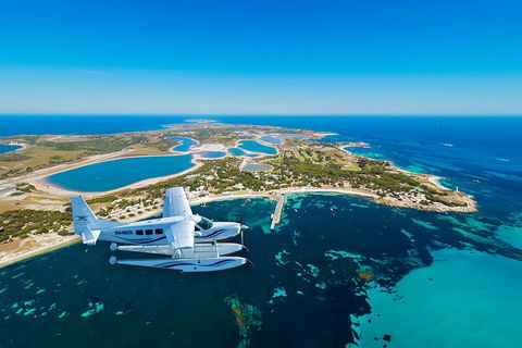 Full Day Tour By Seaplane To Rottnest Island Small Group Trip - Yamba Accommodation 1