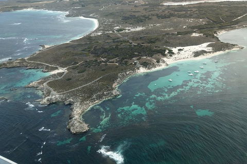 Full Day Tour By Seaplane To Rottnest Island Small Group Trip - Yamba Accommodation 5