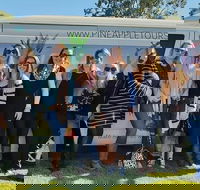 Full Day Mount Tamborine Winery Tour from Gold Coast - Yamba Accommodation