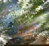 Mossman Gorge Adventure Day - Yamba Accommodation