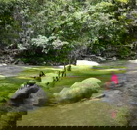 Daintree Dreaming Traditional Aboriginal Fishing from Cairns or Port Douglas - Yamba Accommodation