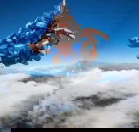 Reef and Rainforest Tandem Sky Dive in Cairns - Yamba Accommodation