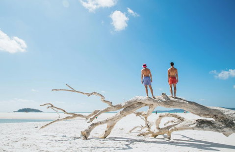 Whitehaven Beach And Hill Inlet Chill And Grill - Yamba Accommodation 5