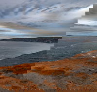 Kangaroo Island Luxury Small Group 'Flinders Chase Focus' Full Day Tour - Yamba Accommodation