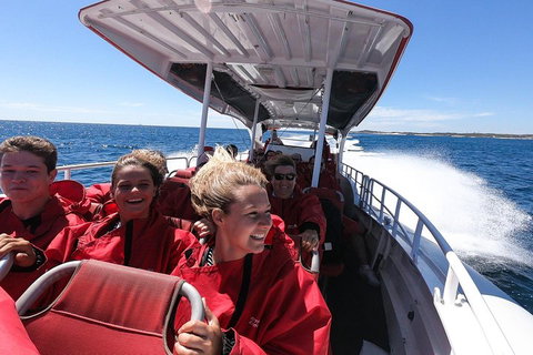 Adventure Rottnest Tour With Ferry & Adventure Cruise From Perth Or Fremantle - Yamba Accommodation 0