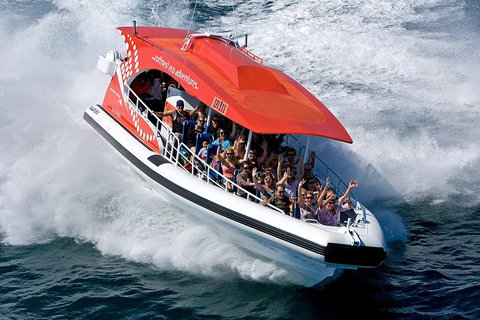 Adventure Rottnest Tour With Ferry & Adventure Cruise From Perth Or Fremantle - Yamba Accommodation 2