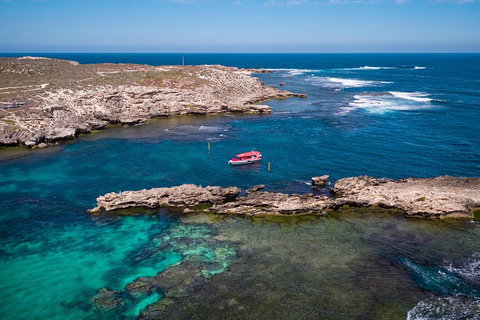Adventure Rottnest Tour With Ferry & Adventure Cruise From Perth Or Fremantle - Yamba Accommodation 3