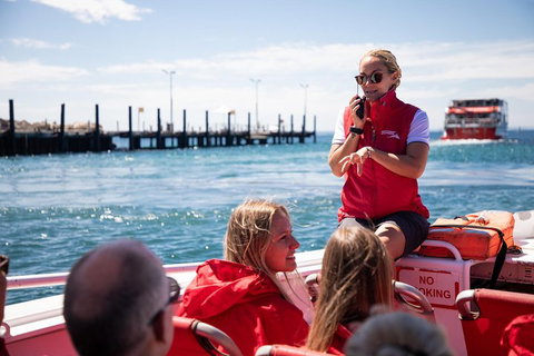 Adventure Rottnest Tour With Ferry & Adventure Cruise From Perth Or Fremantle - Yamba Accommodation 4