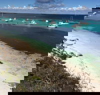 Experience Rottnest with Ferry  Bike Hire from Perth or Fremantle - Yamba Accommodation