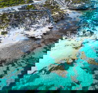 Rottnest Island Round-Trip Ferry from Perth or Fremantle - Yamba Accommodation