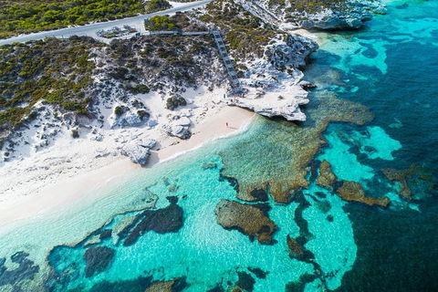 Rottnest Island Round-Trip Ferry From Perth Or Fremantle - Yamba Accommodation 0
