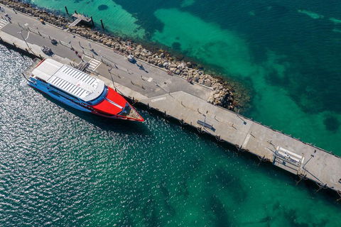 Rottnest Island Round-Trip Ferry From Perth Or Fremantle - Yamba Accommodation 1
