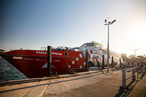 Rottnest Island Round-Trip Ferry From Perth Or Fremantle - Yamba Accommodation 2