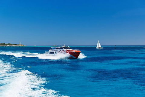 Rottnest Island Round-Trip Ferry From Perth Or Fremantle - Yamba Accommodation 4