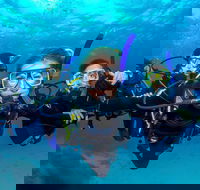 Great Barrier Reef Diving and Snorkeling Cruise from Cairns - Yamba Accommodation