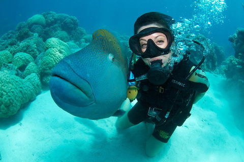 Great Barrier Reef Diving And Snorkeling Cruise From Cairns - Yamba Accommodation 2