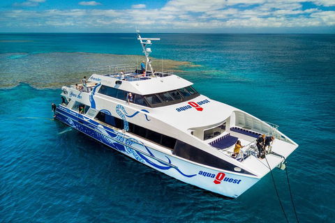 Great Barrier Reef Diving And Snorkeling Cruise From Cairns - Yamba Accommodation 5