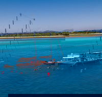 Ocean Free Green Island  Great Barrier Reef Snorkel Cruise Cairns 25 guests - Yamba Accommodation