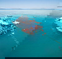 Ocean Freedom Great Barrier Reef Personal Luxury Snorkel  Dive Cruise Cairns - Yamba Accommodation