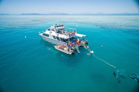 Ocean Freedom Great Barrier Reef Personal Luxury Snorkel & Dive Cruise, Cairns - Yamba Accommodation 0