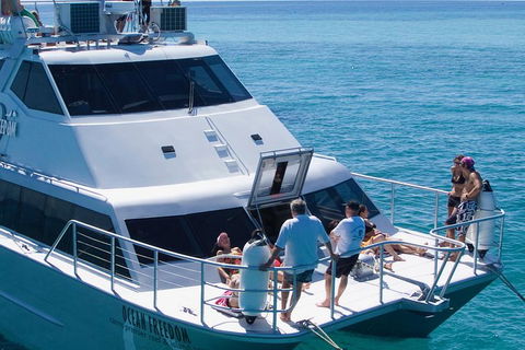 Ocean Freedom Great Barrier Reef Personal Luxury Snorkel & Dive Cruise, Cairns - Yamba Accommodation 1