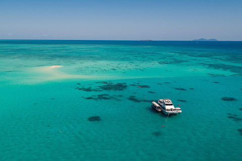 Ocean Freedom Great Barrier Reef Personal Luxury Snorkel & Dive Cruise, Cairns - Yamba Accommodation 2