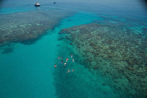 Ocean Freedom Great Barrier Reef Personal Luxury Snorkel & Dive Cruise, Cairns - Yamba Accommodation 3