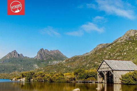 6 Day Trek The Cradle Mountain Overland Track - Yamba Accommodation 1