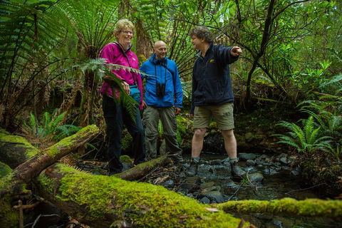 Bruny Island Traveller - Gourmet Tasting And Sightseeing Day Trip From Hobart - Yamba Accommodation 1
