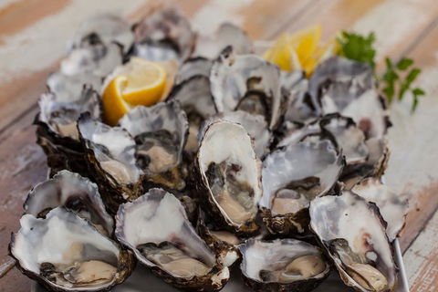 Bruny Island Traveller - Gourmet Tasting And Sightseeing Day Trip From Hobart - Yamba Accommodation 4