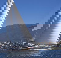 Half-Day Sailing on the Derwent River from Hobart - Yamba Accommodation