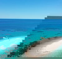 Ocean Safari Great Barrier Reef Experience in Cape Tribulation - Yamba Accommodation