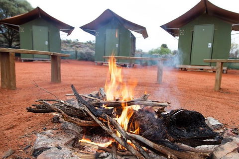 4 Day/3 Night Perentie Dreaming Safari - Yamba Accommodation 1