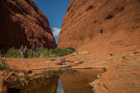 4 Day/3 Night Perentie Dreaming Safari - Yamba Accommodation 3