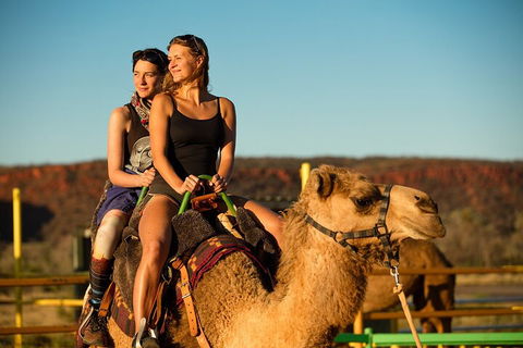 4 Day/3 Night Perentie Dreaming Safari - Yamba Accommodation 4