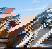 Full-Day Kangaroo Island Experience Departing from Kangaroo Island - Yamba Accommodation