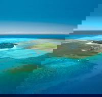 Cairns City Sights and Surrounds Tour - Yamba Accommodation