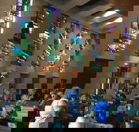 Cairns Shore Excursion Cairns City Sights  Surrounds Tour - Yamba Accommodation