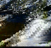 Cradle Mountain Day Tour from Launceston Including Lunch - Yamba Accommodation