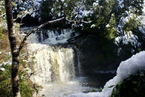 Cradle Mountain Day Tour From Launceston Including Lunch - Yamba Accommodation 0