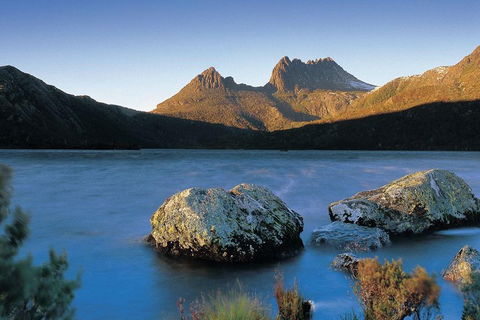 Cradle Mountain Day Tour From Launceston Including Lunch - Yamba Accommodation 2