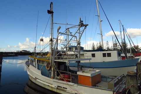 Beyond Byron Hinterland Tour - Yamba Accommodation 0
