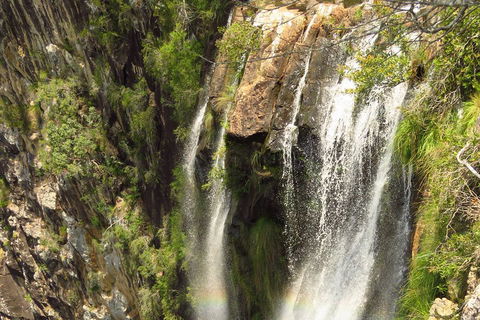 Beyond Byron Hinterland Tour - Yamba Accommodation 5