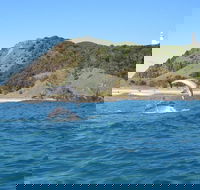 Kayaking with Dolphins in Byron Bay Guided Tour - Yamba Accommodation