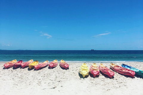 Kayaking With Dolphins In Byron Bay Guided Tour - Yamba Accommodation 1