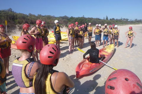 Kayaking With Dolphins In Byron Bay Guided Tour - Yamba Accommodation 2