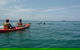 Kayaking With Dolphins In Byron Bay Guided Tour - thumb 4