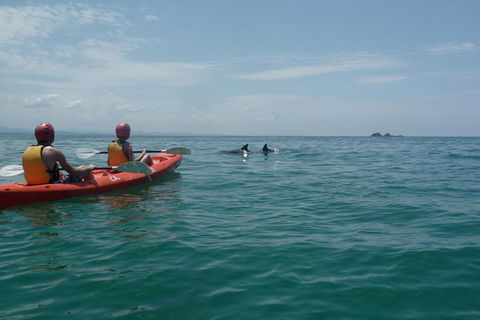 Kayaking With Dolphins In Byron Bay Guided Tour - Yamba Accommodation 4