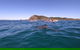 Kayaking With Dolphins In Byron Bay Guided Tour - thumb 5
